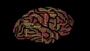 Brain image made out of various words