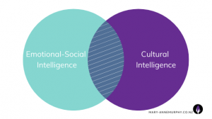 The link between Emotional-Social Intelligence and Cultural Intelligence